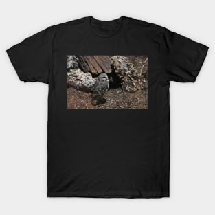 Burrowing Owl T-Shirt